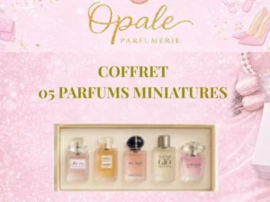 Coffret de 5 miniatures